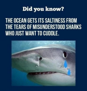 SadShark